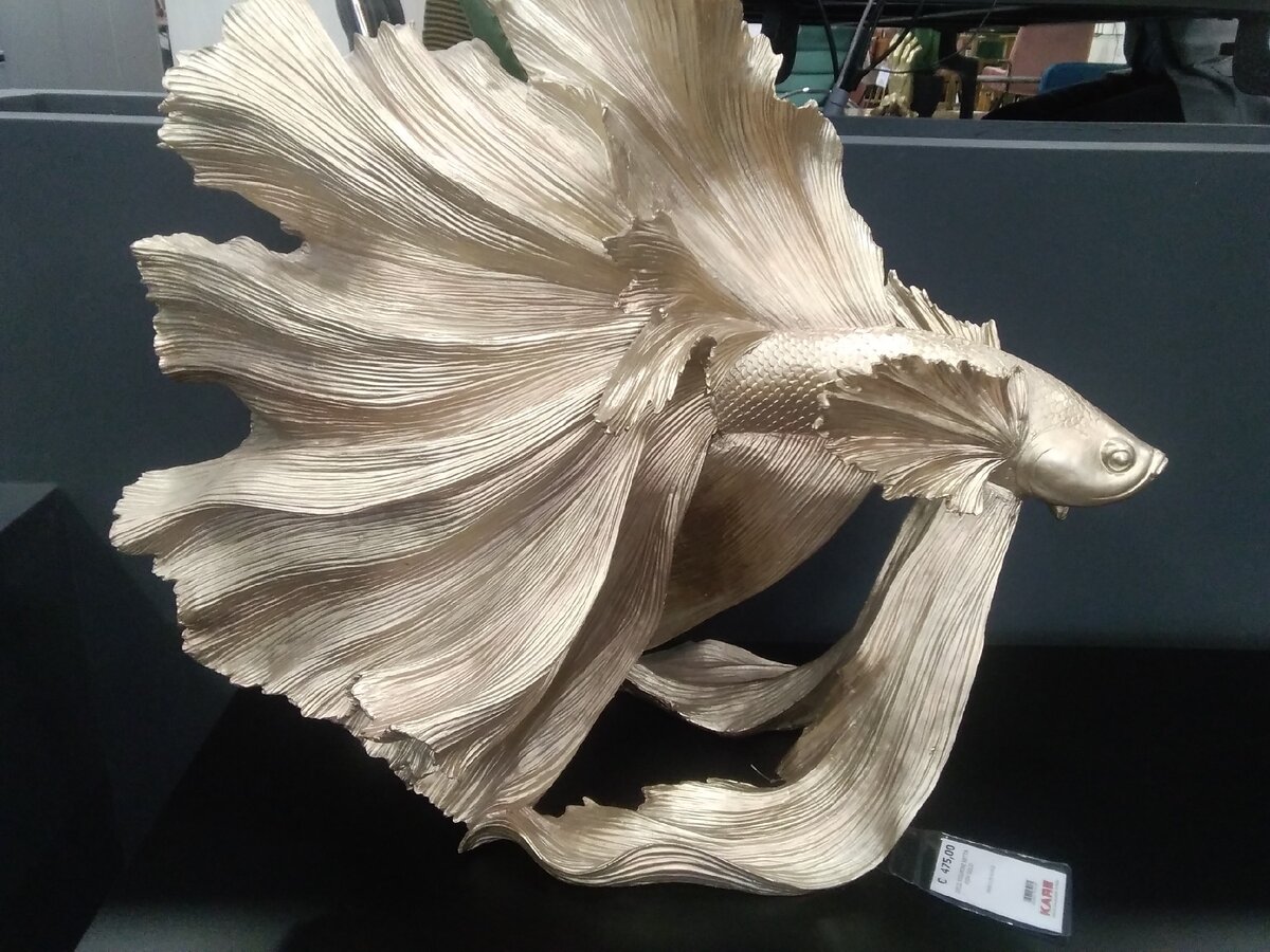 Рим, в магазине Kare design, фото из личной коллекции