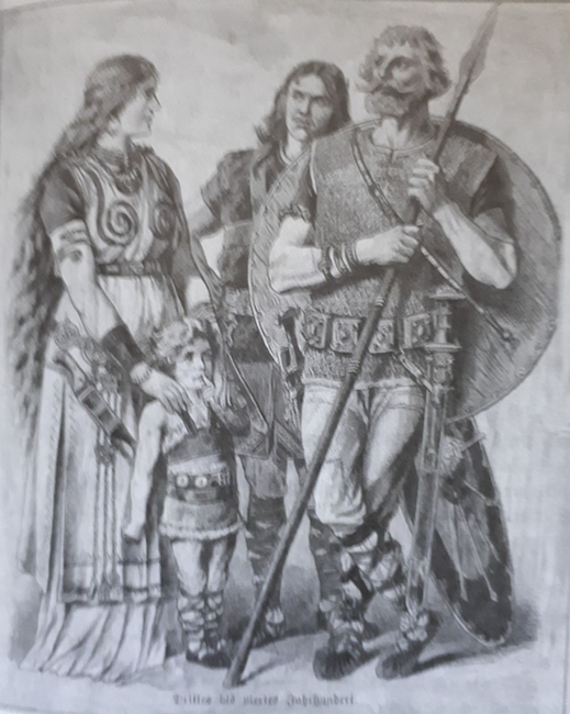                                                               Германо-готская семья