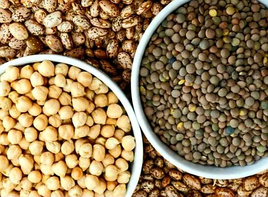 Маш нут чечевица. Крупа нут и маш. Нут маш. Маш и нут. Маш нут чечевица.