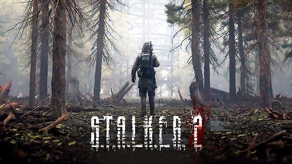 фото взято из открытых источников