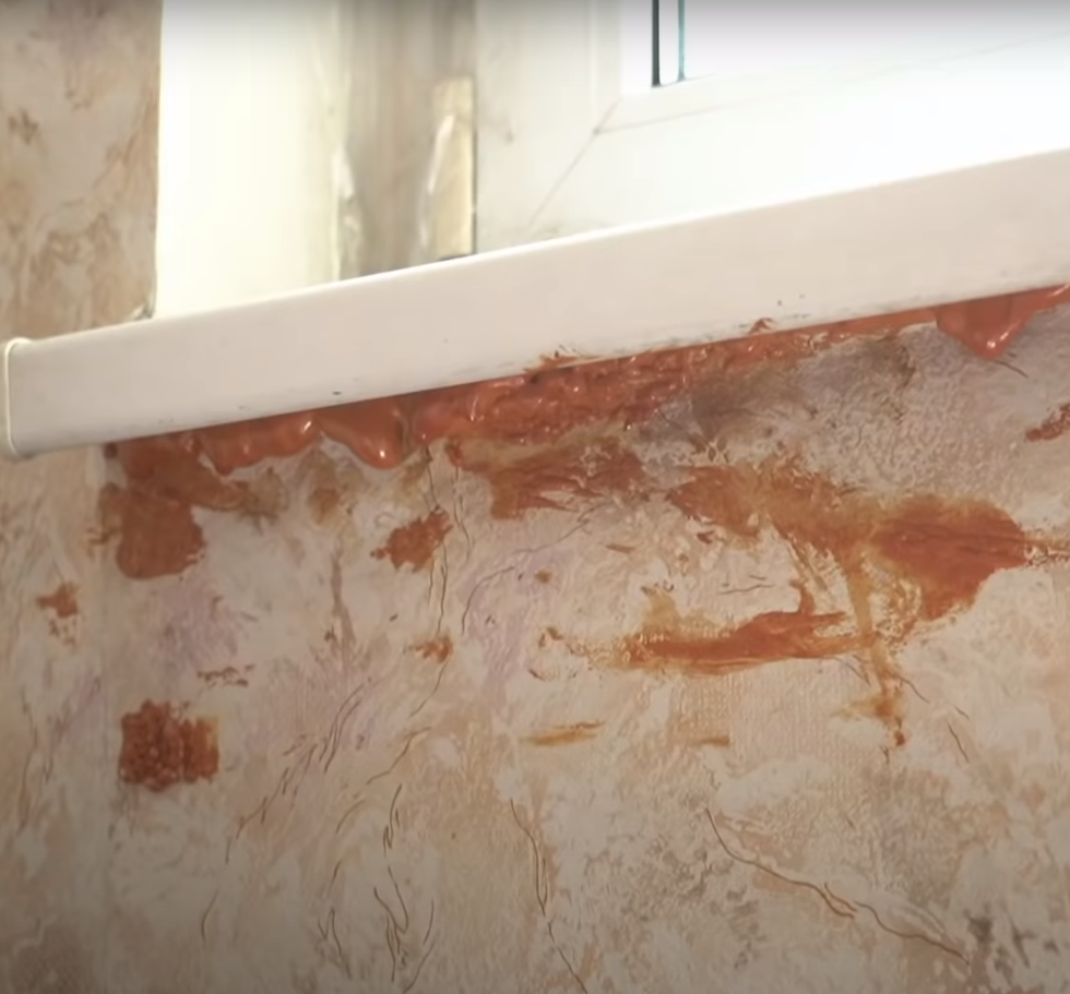 Квартира Светы