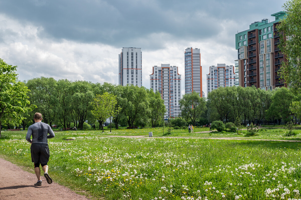 Прогулки по дзену. Панорама Пулковский парк. Чистый Южный городской парк. Яблоневая аллея на Пулковском шоссе. Пулковское шоссе 104