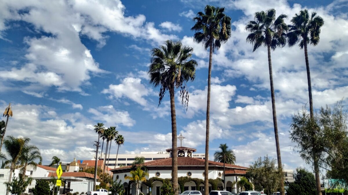 Просто фотка из пригорода Лос-Анджелес