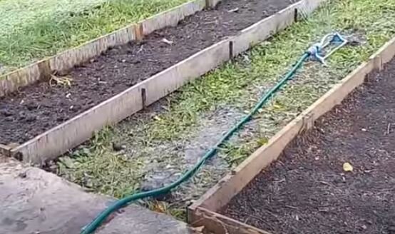 Подготовленные к посадке теплые грядки