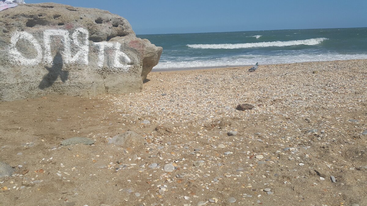 Фото: Георгий Арустамьян