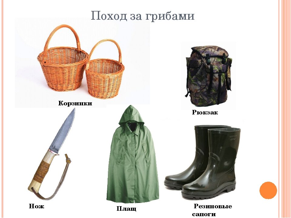 Набор грибника