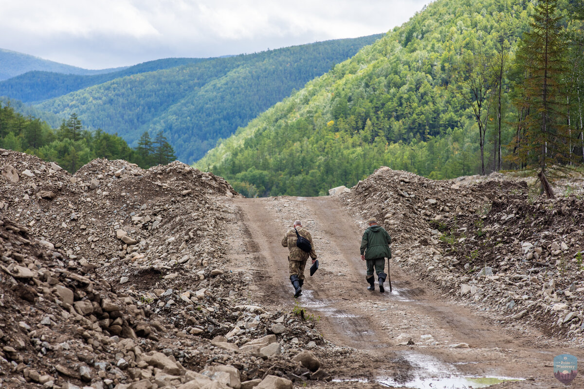 Вывести на чистую воду: последствия добычи россыпного золота в Амурской  области | PrimDiscovery | Дзен