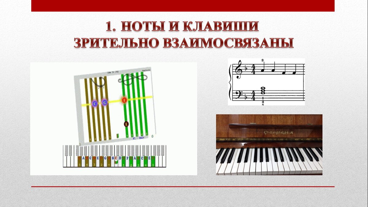 Вертикальный нотный стан программы Софт Моцарт. Очевидная взаимосвязь клавиш с линейками и пространствами нотного стана. 