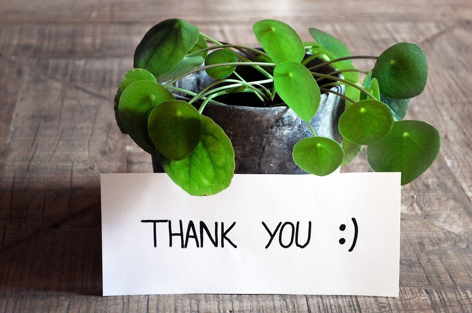 https://pixabay.com/photos/thank-you-thank-you-card-table-3690116/ Athree23