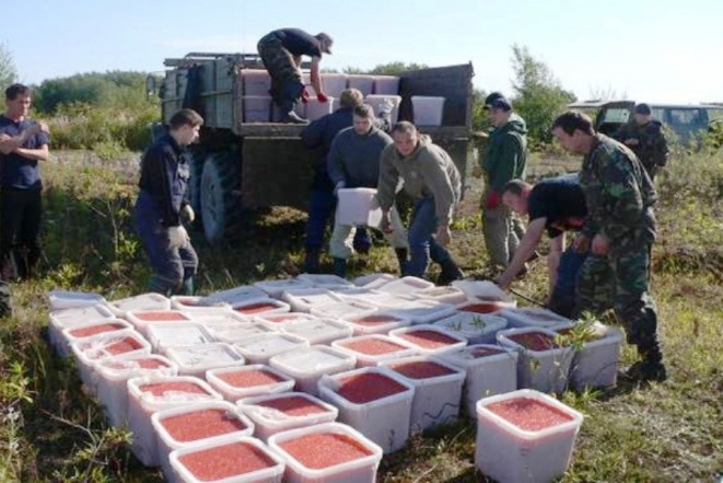 arbitr57.livejournal.com