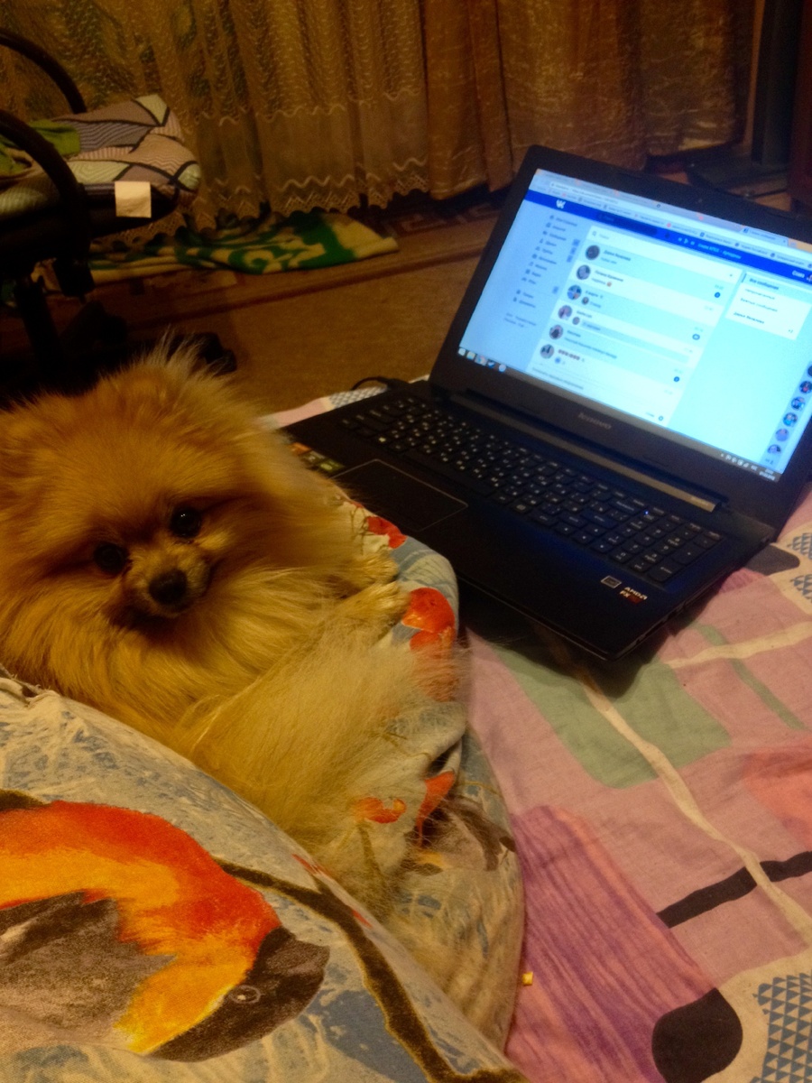 Подготовка в самом разгаре!