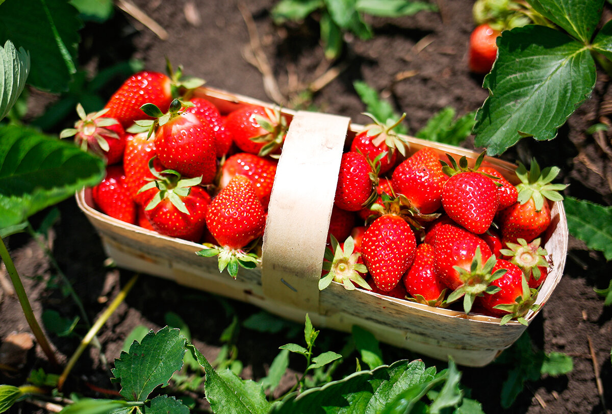 (с) Виталий Тимкив/Sputnik