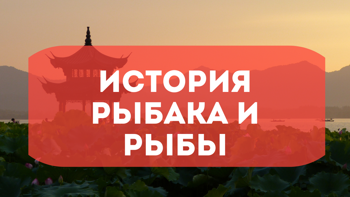 Перевела на китайский и обратно названия русских сказок. Узнаете их теперь  с первого взгляда? | Беречь речь | Дзен