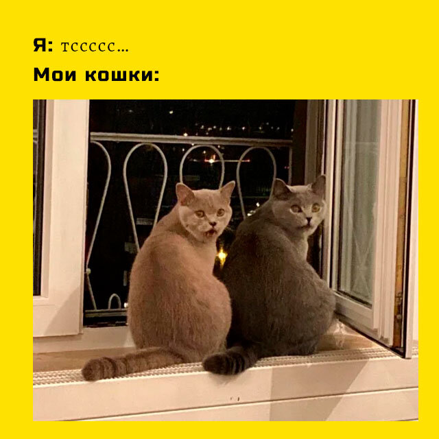 №1. Мне показалось... или ты быканул?