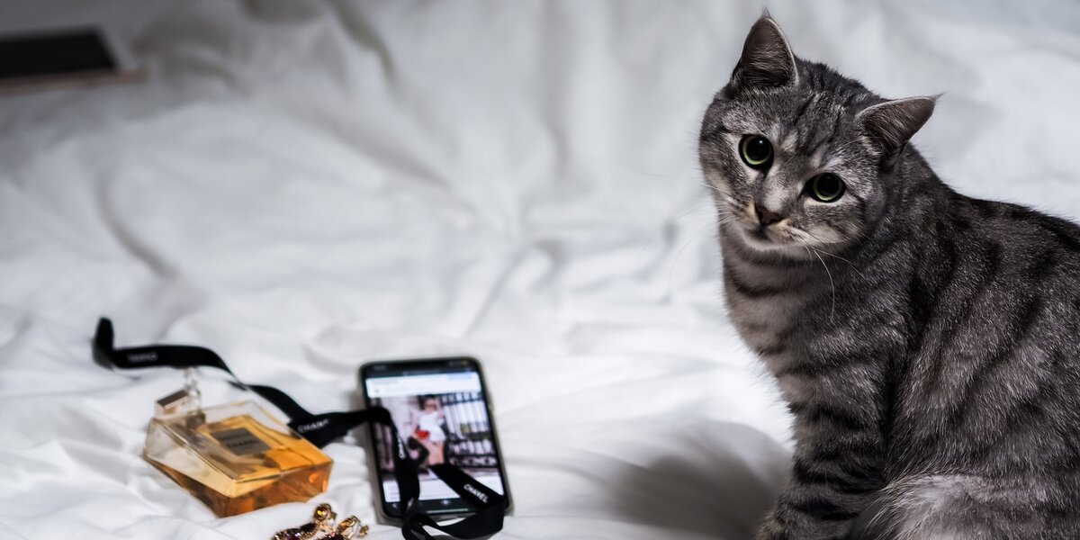 photo by Laura Chouette