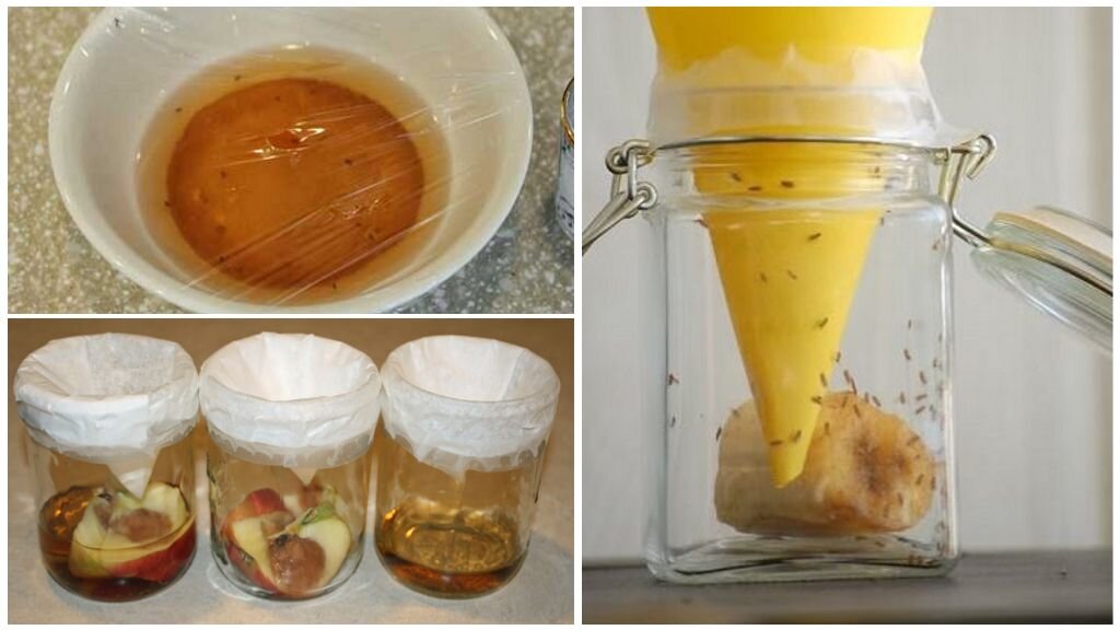 Приманка для мошек на кухне своими руками