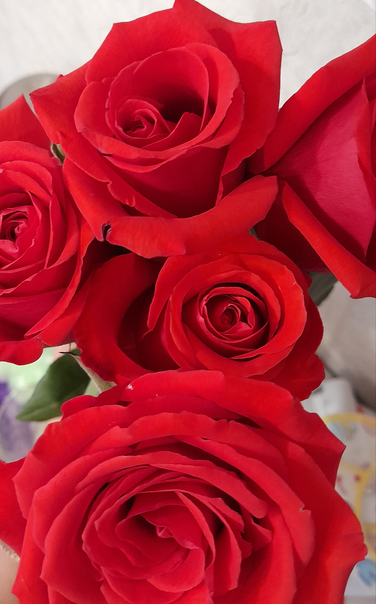 Муж цветы подарил 