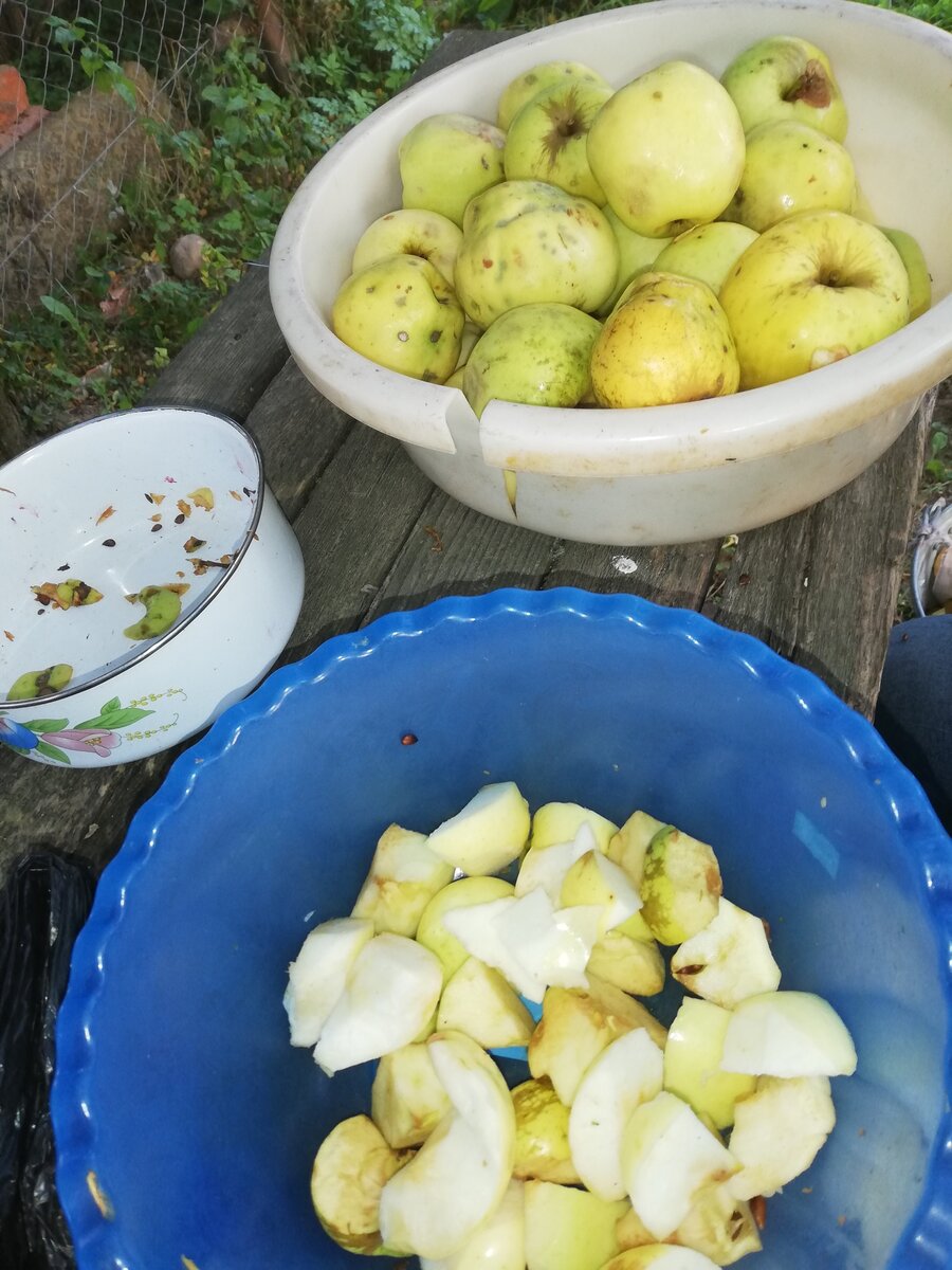 Любимая заготовка зиму: яблочный сок. Купили соковыжималку 