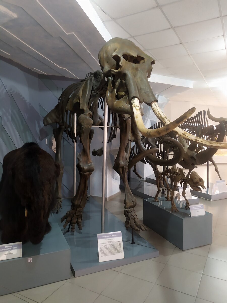 личное фото автора