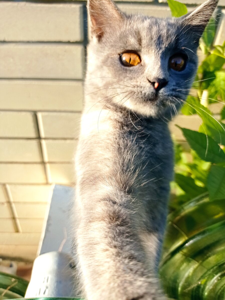 На этот раз ты меня нашёл. Молодец!