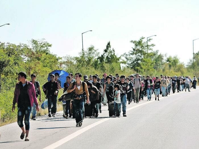 Яндекс картинки.