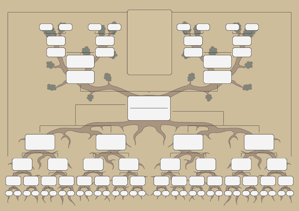 Как нарисовать древо рода до 7 колена