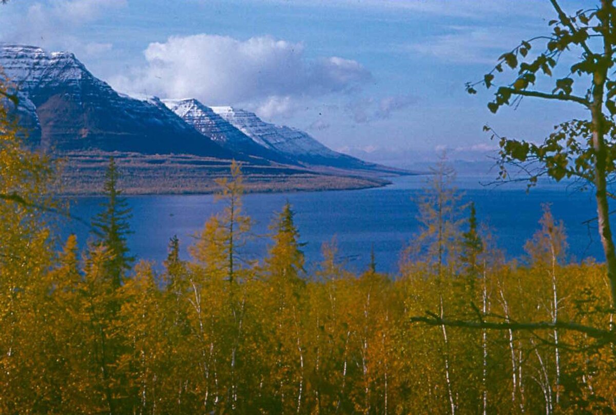 Крупное озеро таймыра. Путорана озеро лама. Таймыр озеро лама. Озеро лама Норильск. Озеро лама плато Путорана фото.