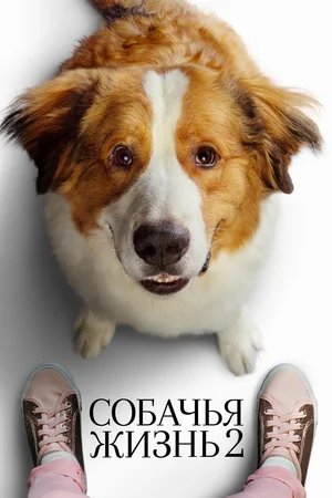 изображение с сайта kinopoisk.ru