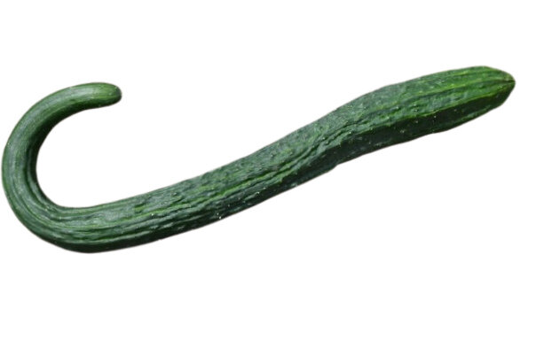 Огурец Китайский змей