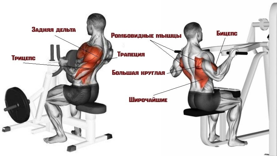 Рычажная тяга в тренажере: техника упражнения, какие мышщы работают