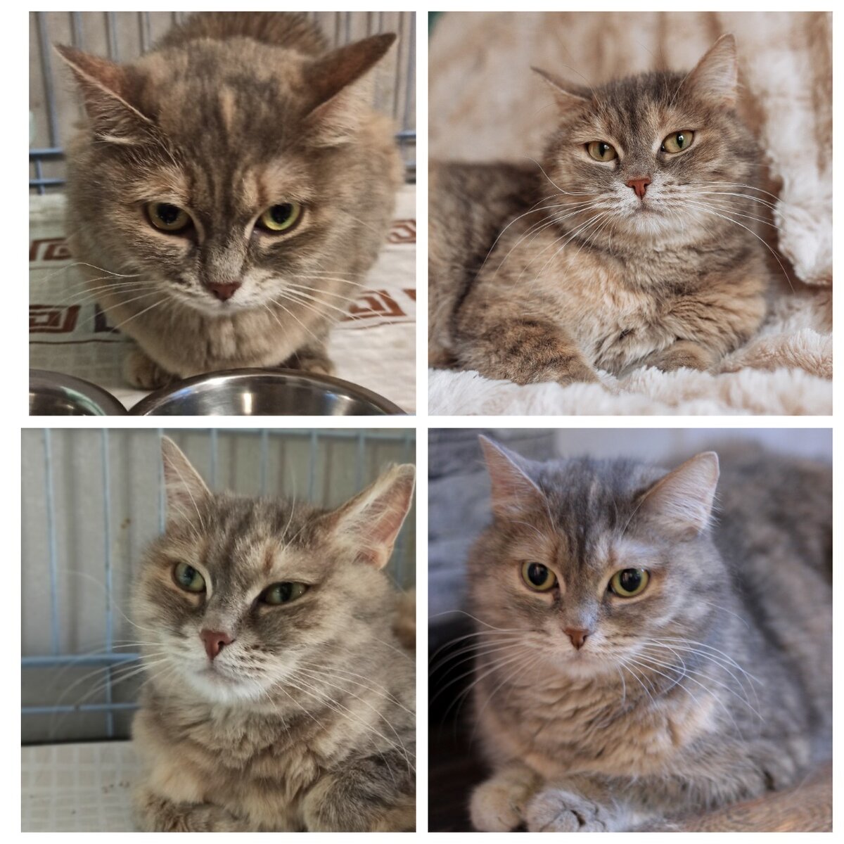 Лиза, поступила 12.08.20