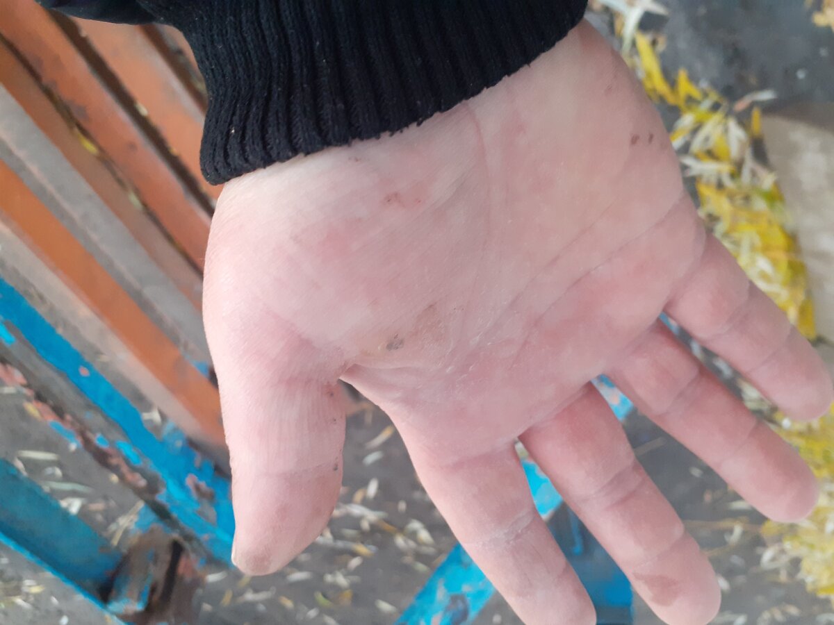 Фото моей руки это женская рука рабочего человека,а не писателя