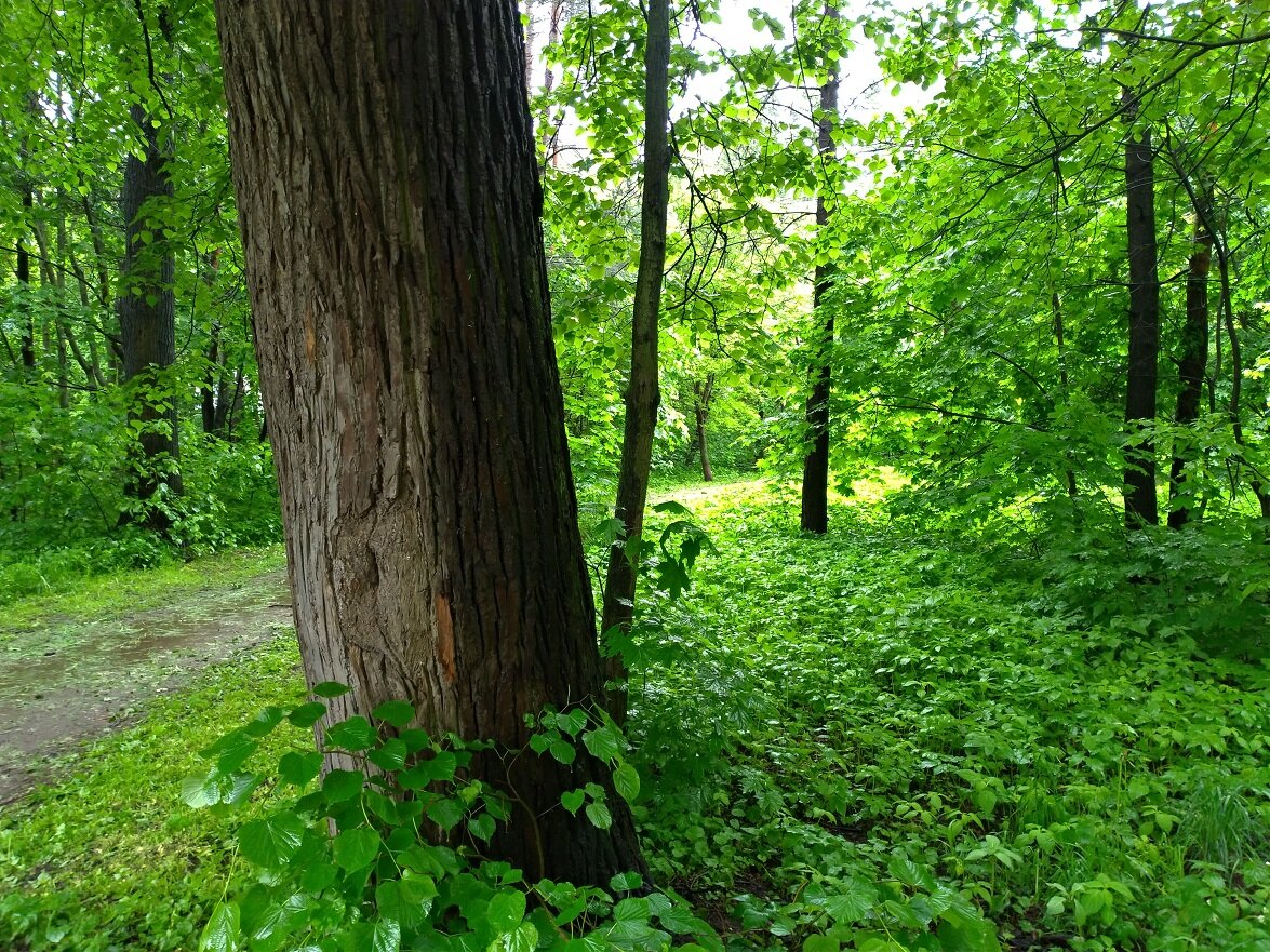 Фото из личчного архива