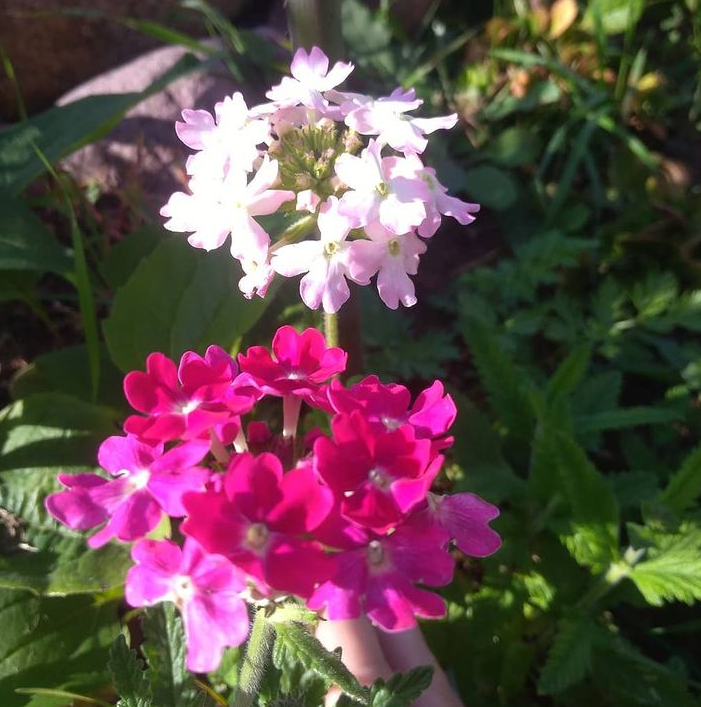 23 сентября 2020