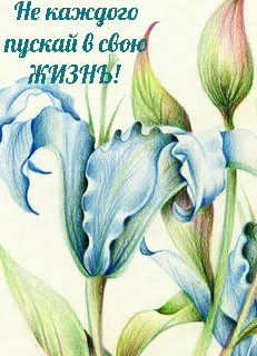 Коллаж Автора. 