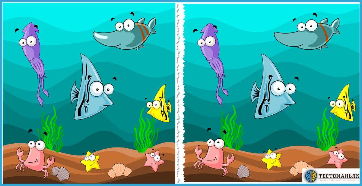 Источник: pixabay.com