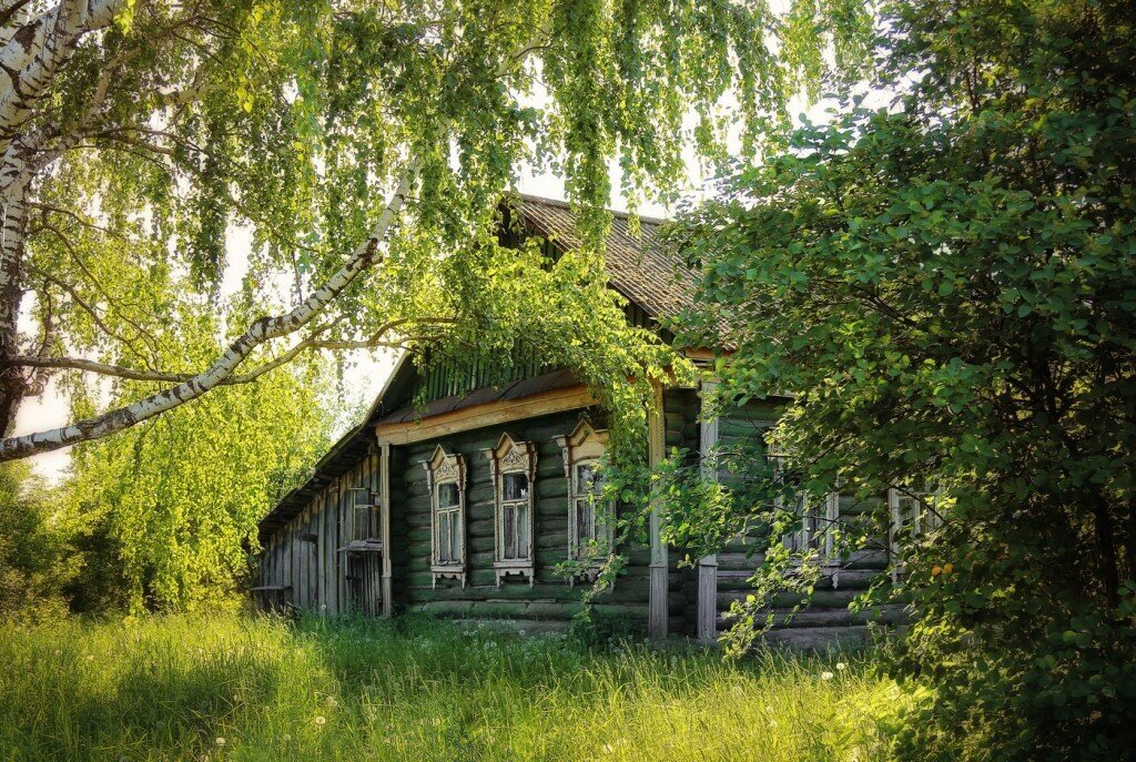Яндекс-картинка