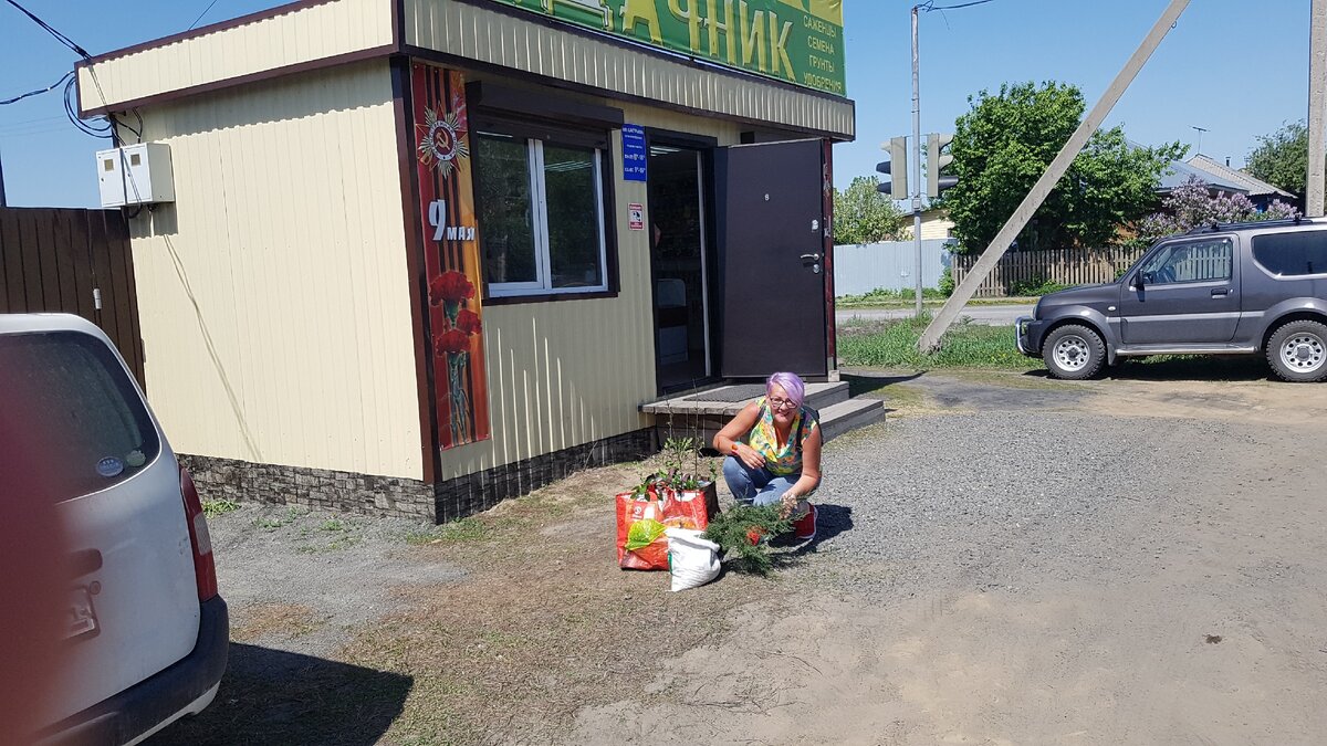 Весна. Купила саженцы.