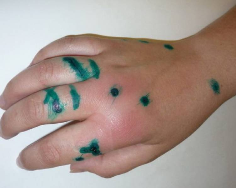 фотография с сайта spb-veterinar.ru