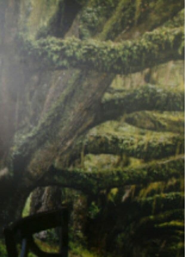 Такеи деревья