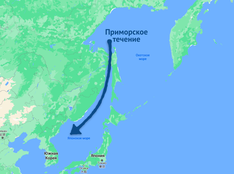 Морские течения японского моря