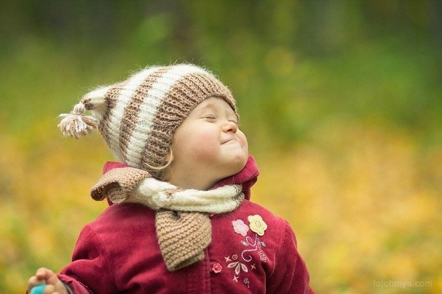 Источник: Yandex.ru