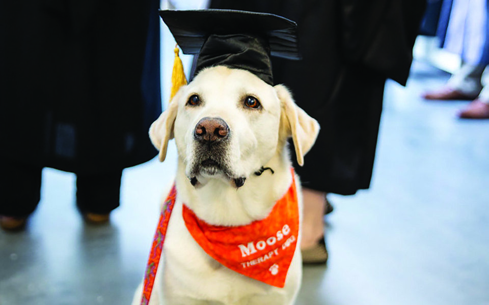 Источник: Virginia Tech