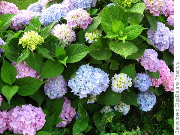 Бесконечное лето