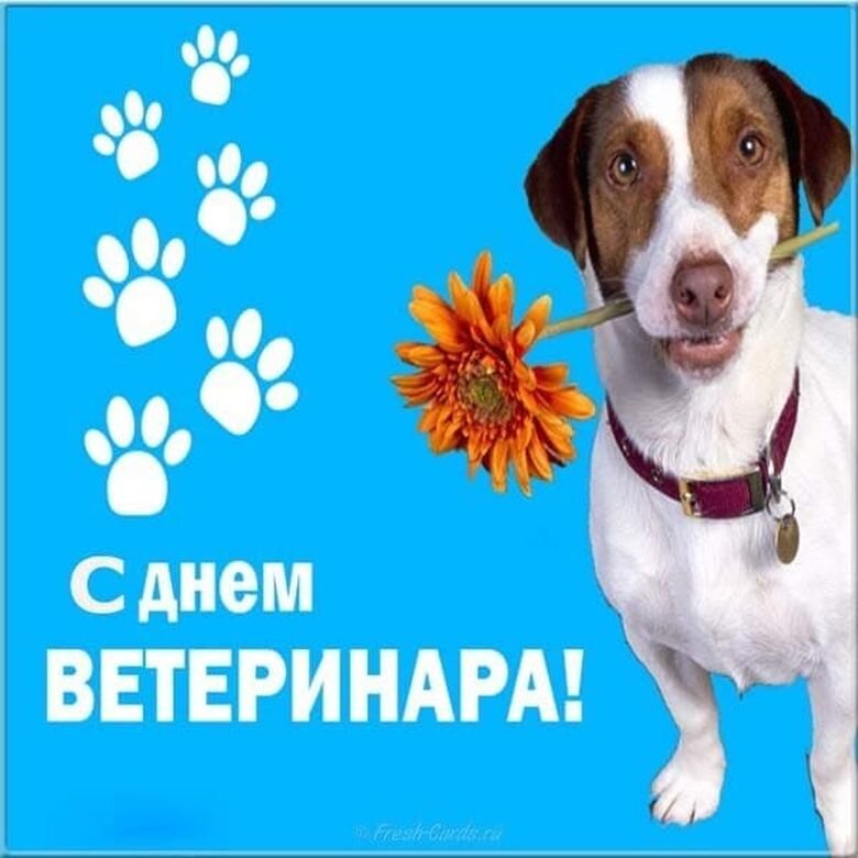Источник яндекс картинки