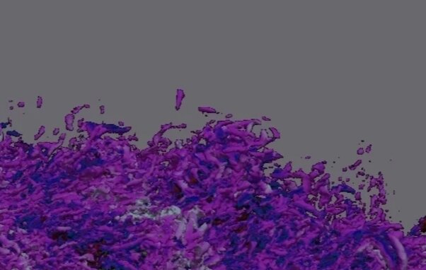 Институт научных коммуникаций | ИНК