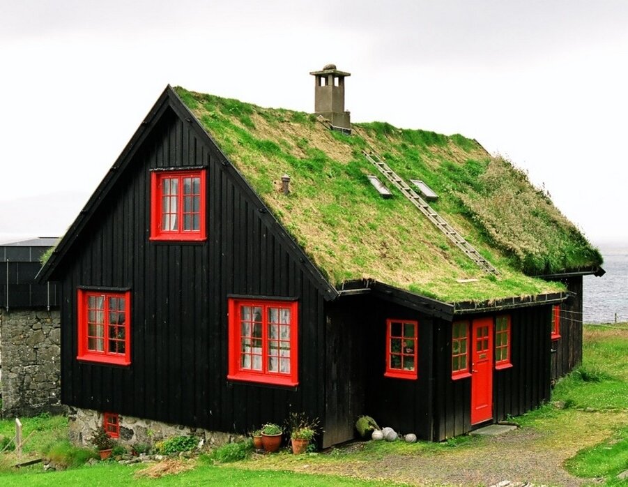 Источник Яндекс Картинки