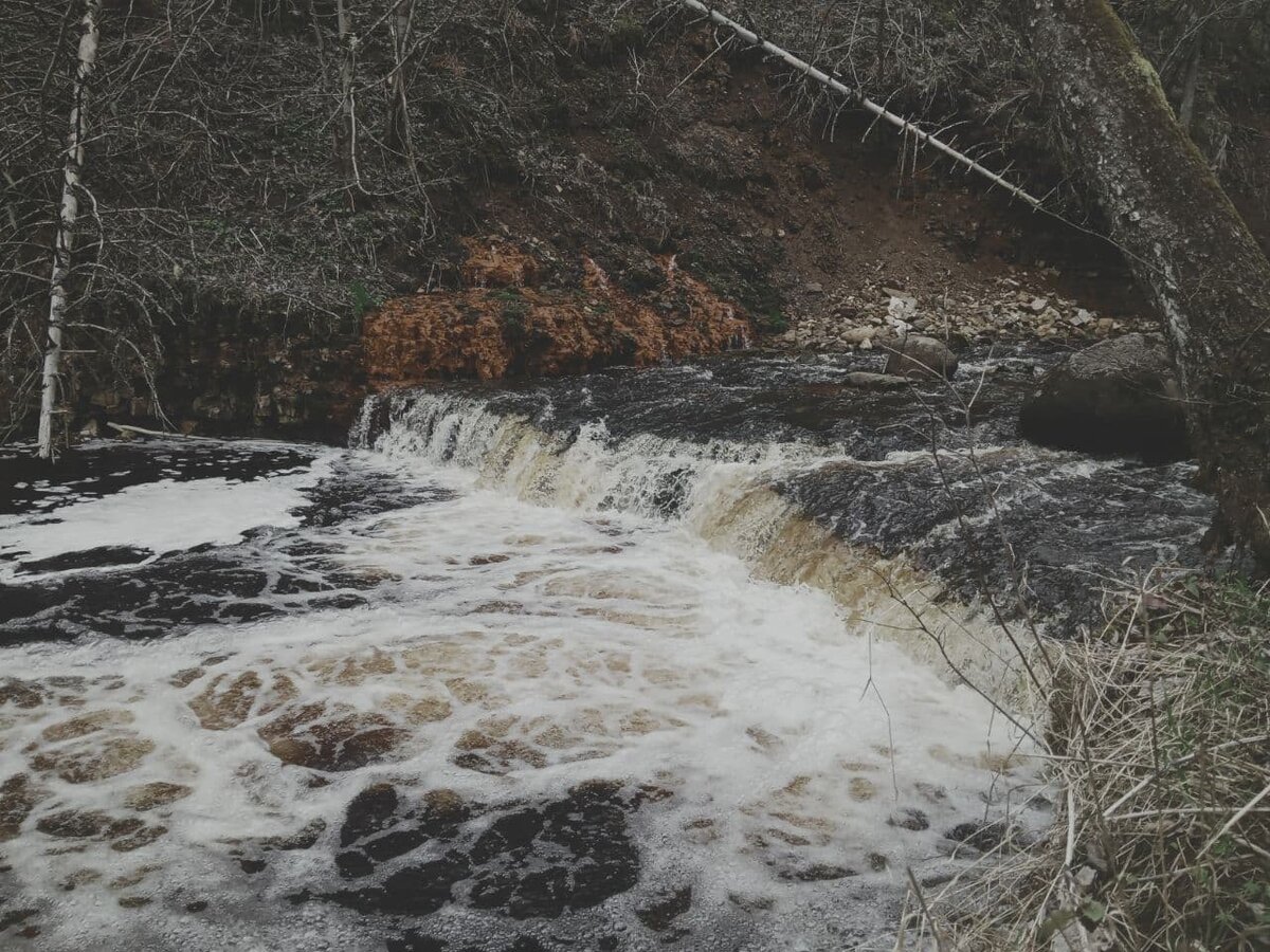 Мрачный водопад-порог на реке Прикша в теплый, но пасмурный майский денек 