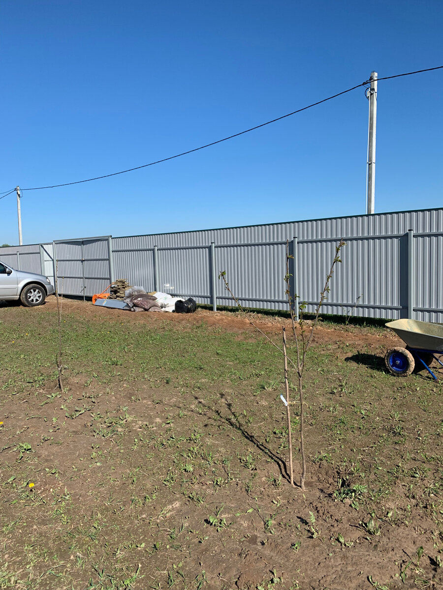 еще старые ворота, вид изнутри