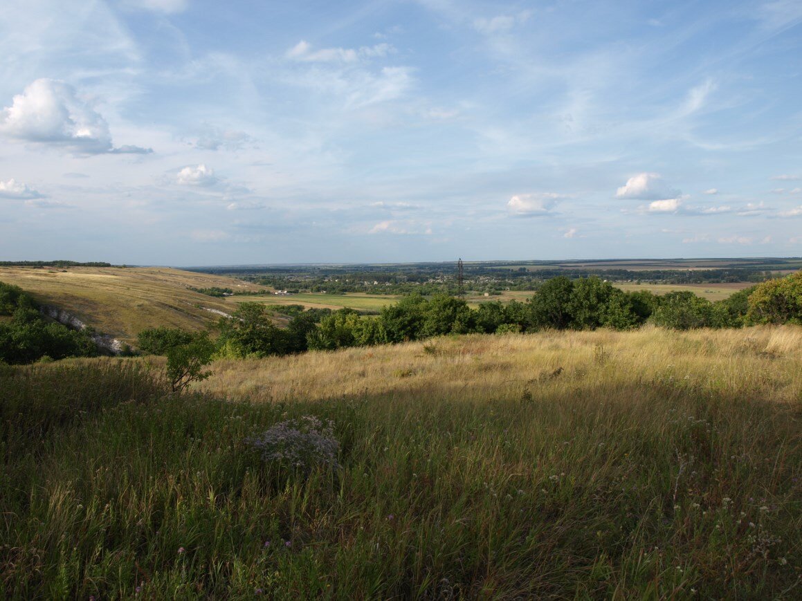 Немного экосистемы Вам в ленту. Фото автора